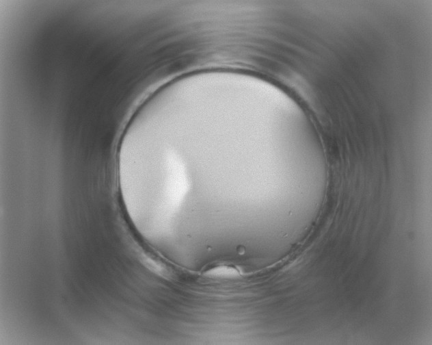 X0000068861371200605192006