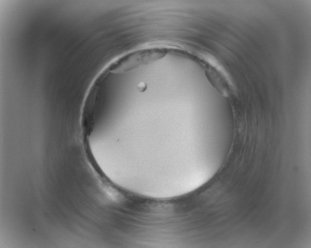 X0000068861372200605192006