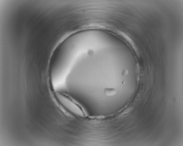 X0000068861373200605192006