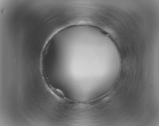 X0000068861374200605192006