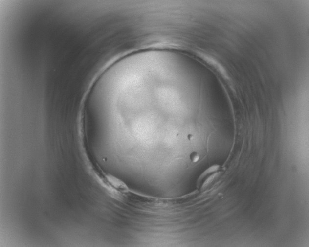 X0000068861375200605192006