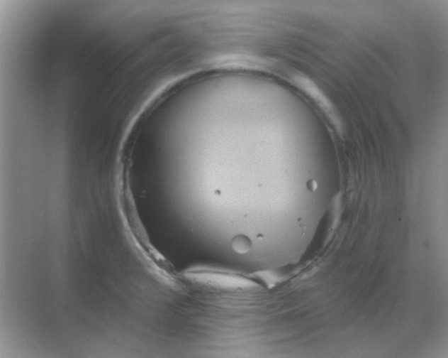 X0000068861376200605192006