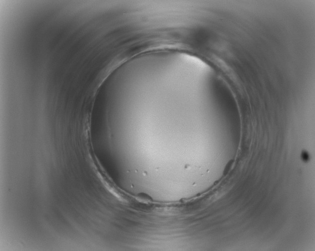 X0000068861377200605192006