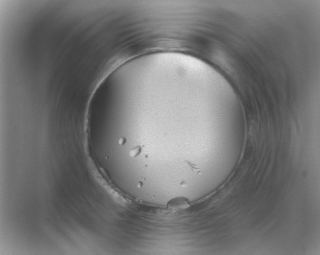 X0000068861378200605192006