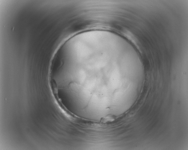 X0000068861379200605192006