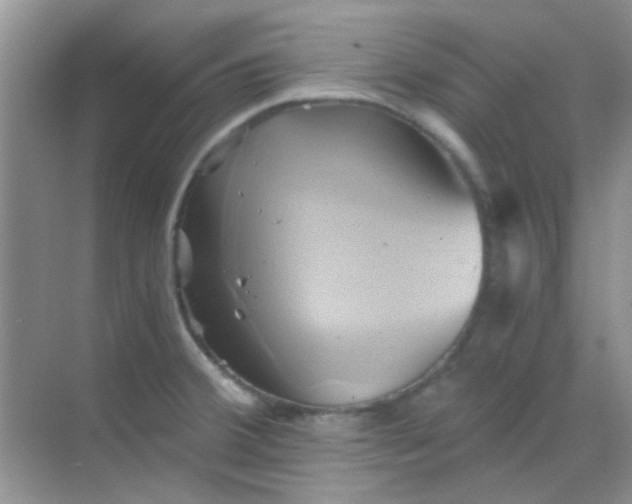 X0000068861380200605192006