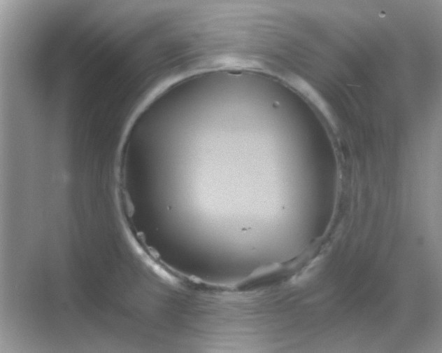 X0000068861381200605192006