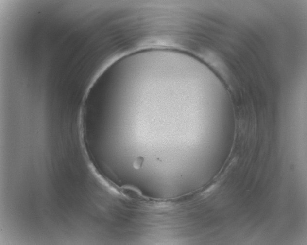 X0000068861382200605192006