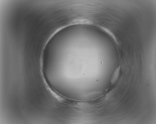 X0000068861383200605192006