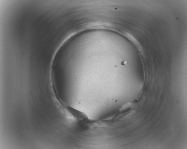 X0000068861384200605192006