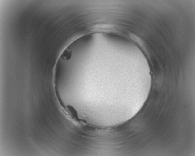 X0000068861386200605192006