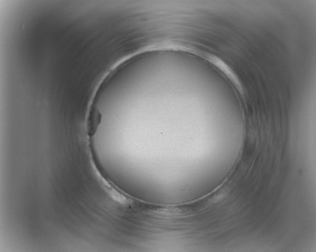 X0000068861388200605192006