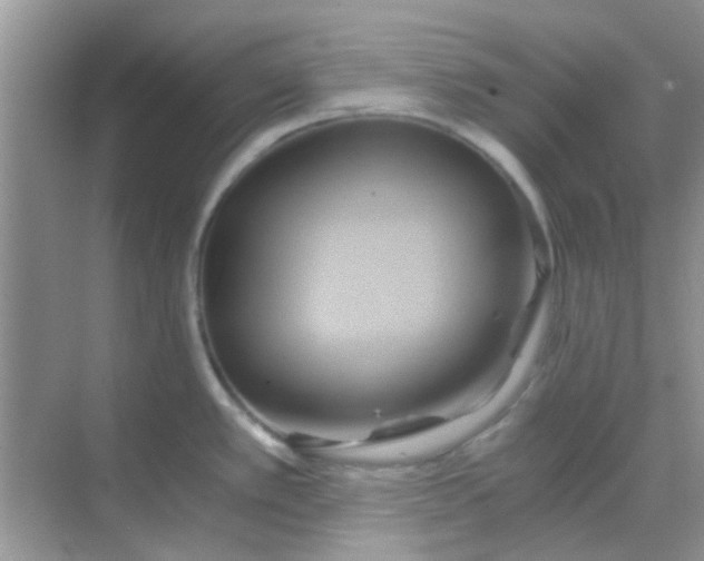 X0000068861389200605192006