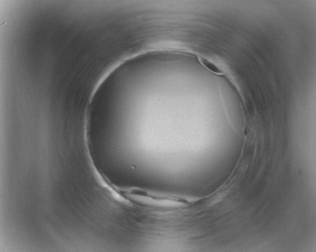 X0000068861390200605192006