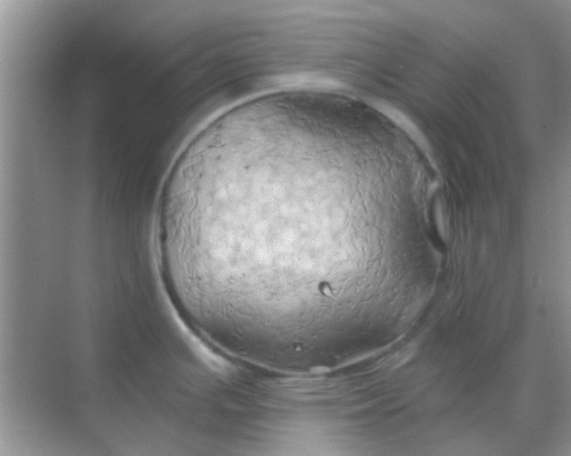 X0000068861391200605192006