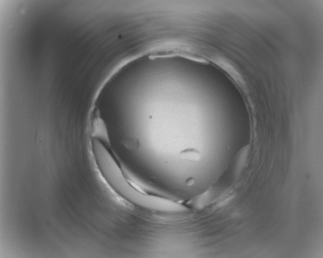 X0000068861392200605192006