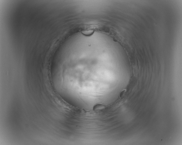 X0000068861393200605192005