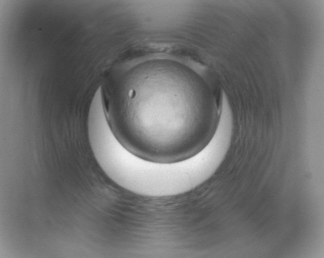 X0000068861394200605192005