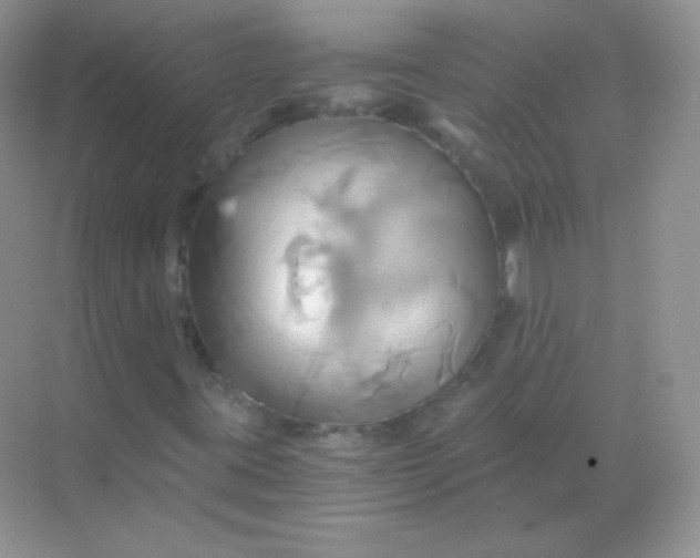 X0000068861395200605192005