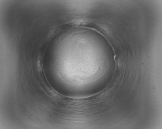 X0000068861396200605192005