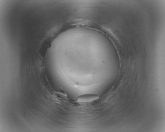 X0000068861399200605192005