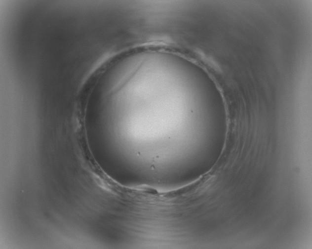 X0000068861400200605192005