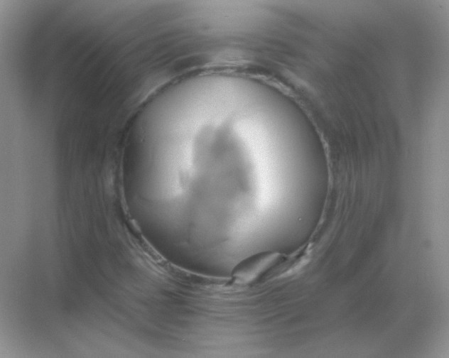 X0000068861401200605192005