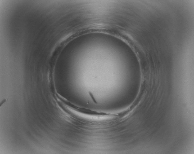 X0000068861402200605192005