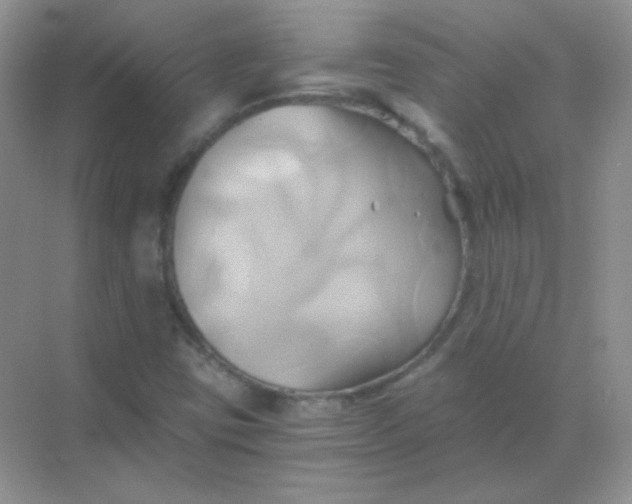 X0000068861403200605192005