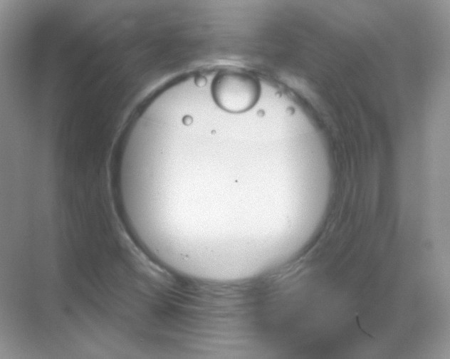 X0000068861404200605192005