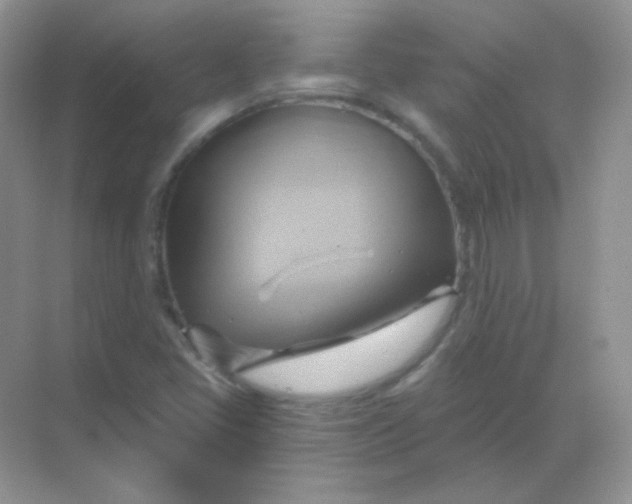 X0000068861405200605192005