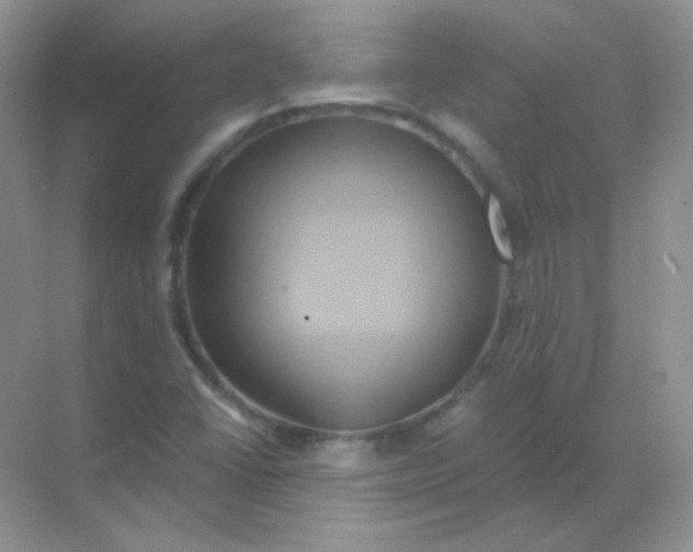 X0000068861406200605192005