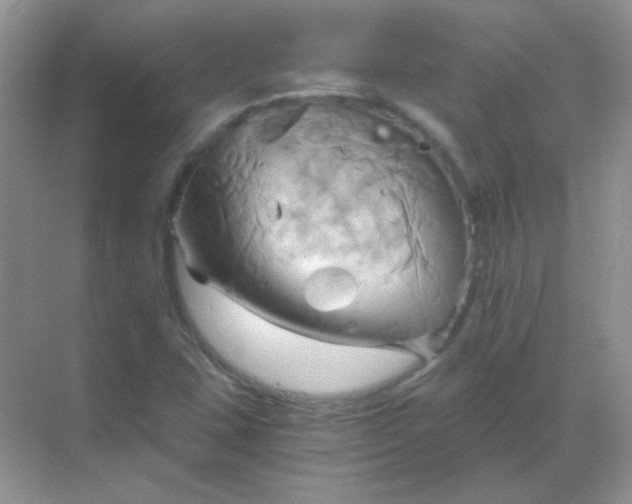 X0000068861407200605192005