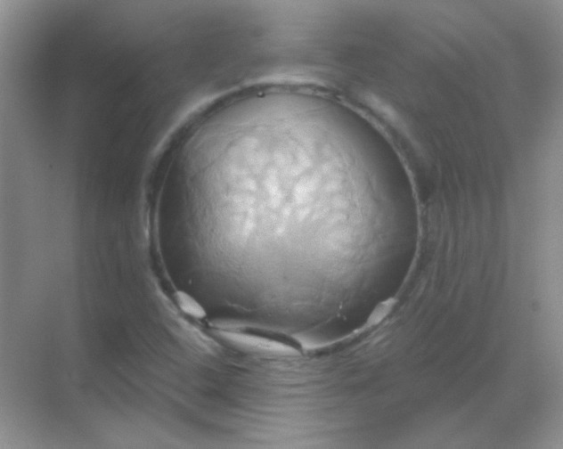 X0000068861408200605192005