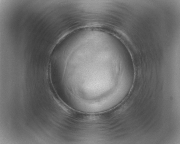 X0000068861409200605192005