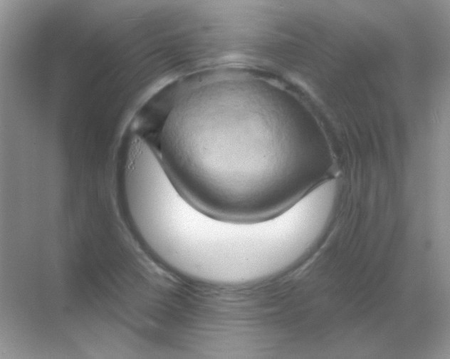 X0000068861410200605192005