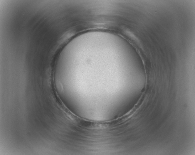 X0000068861411200605192005