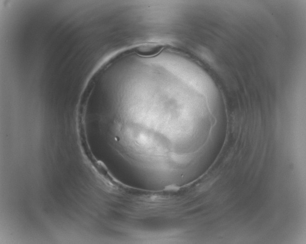 X0000068861412200605192005