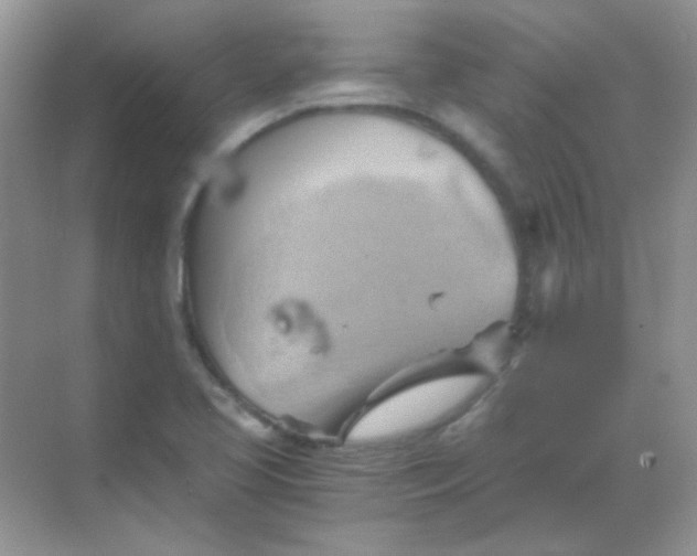 X0000068861413200605192005