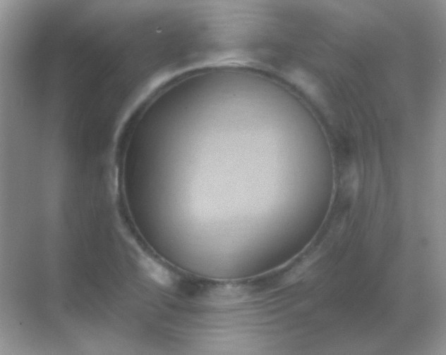 X0000068861414200605192005