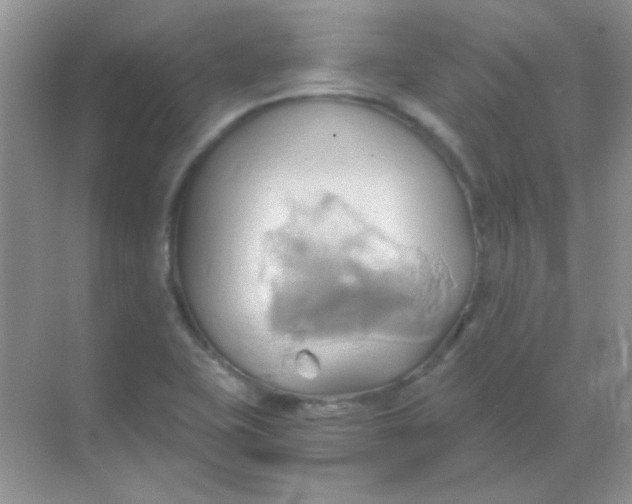 X0000068861415200605192005