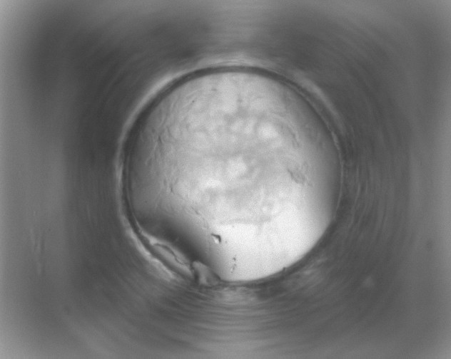 X0000068861416200605192005