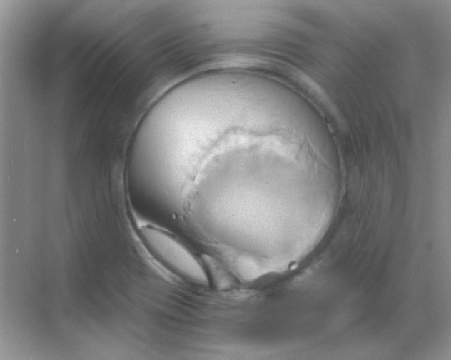 X0000068861417200605192005