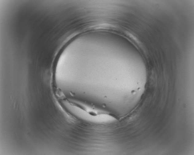 X0000068861418200605192005