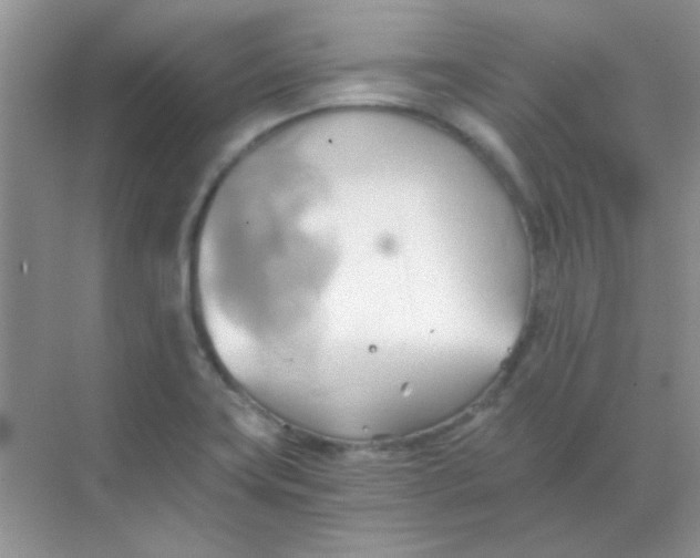 X0000068861419200605192005