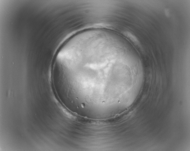 X0000068861420200605192005