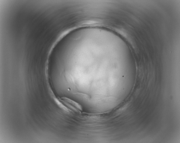 X0000068861421200605192005