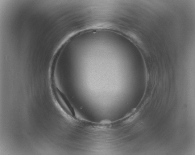 X0000068861422200605192005