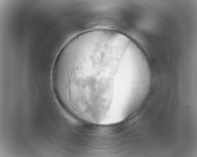 X0000068861423200605192005