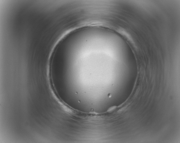 X0000068861424200605192005